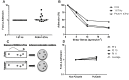 Fig.4 Fig.4